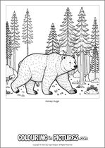 Free printable bear themed colouring page of a bear. Colour in Honey Hugs.