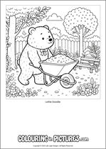 Free printable bear themed colouring page of a bear. Colour in Lottie Doodle.