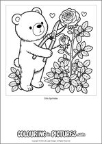 Free printable bear themed colouring page of a bear. Colour in Otis Sprinkle.