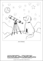Free printable dog themed colouring page of a dog. Colour in Sam Whiskers.